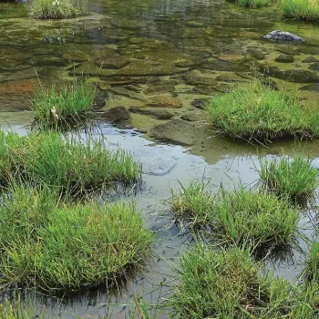 Arbeitsreffen zum Platzertal