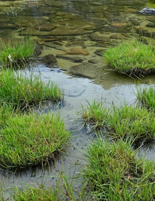 Naturlandschaft Platzertal